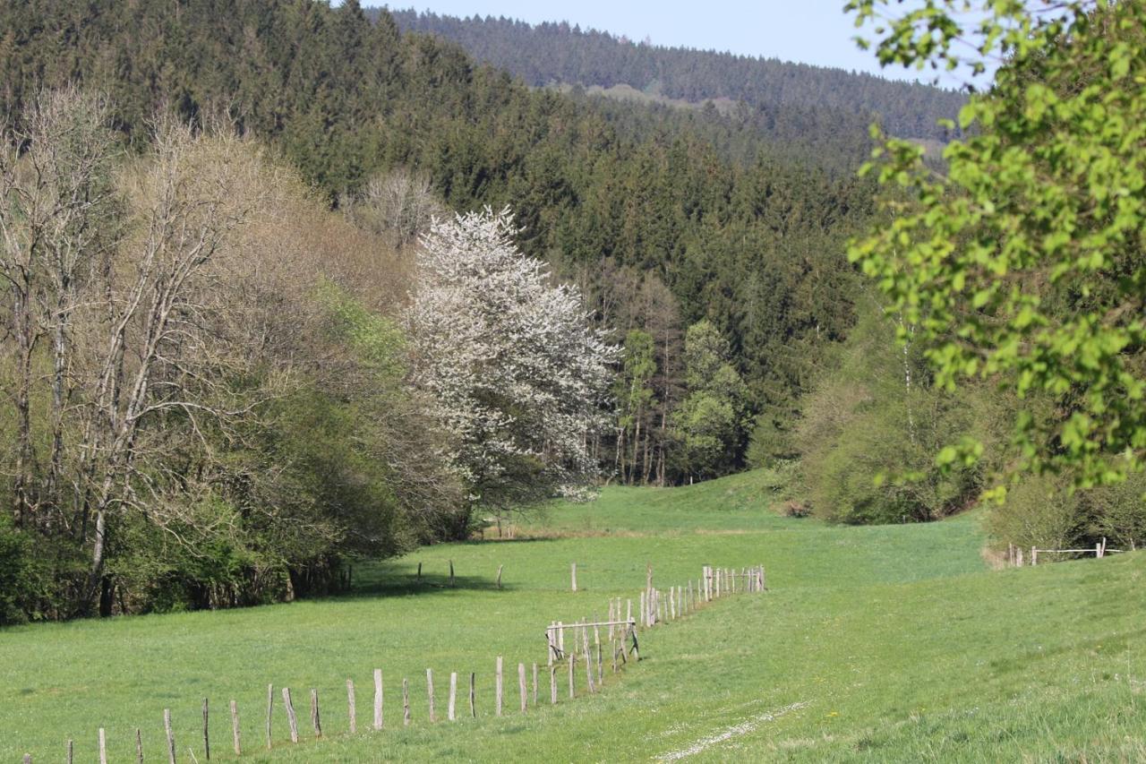 Le Clos Du Cerf - Le Sous-Bois Stoumont Ngoại thất bức ảnh