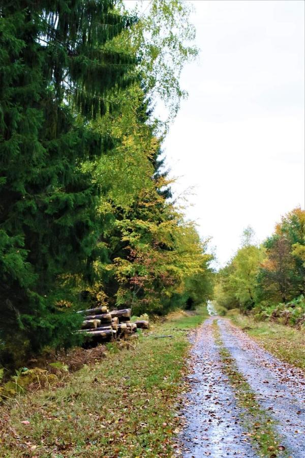 Le Clos Du Cerf - Le Sous-Bois Stoumont Ngoại thất bức ảnh